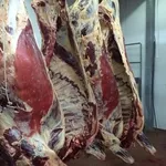 Мясо высокого качества