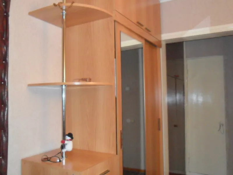 Продам 2-комнатную квартиру на Юго-Востоке 8