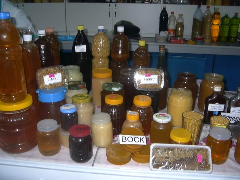 Продам оптом мёд со своей пасеки в Восточном Казахстане  2